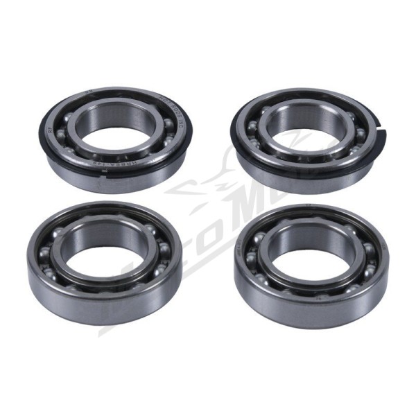 HOT RODS Balancer Shaft Reconditioning Kit Polaris Scrambler / Sportsman 850-1000cc 09-22
