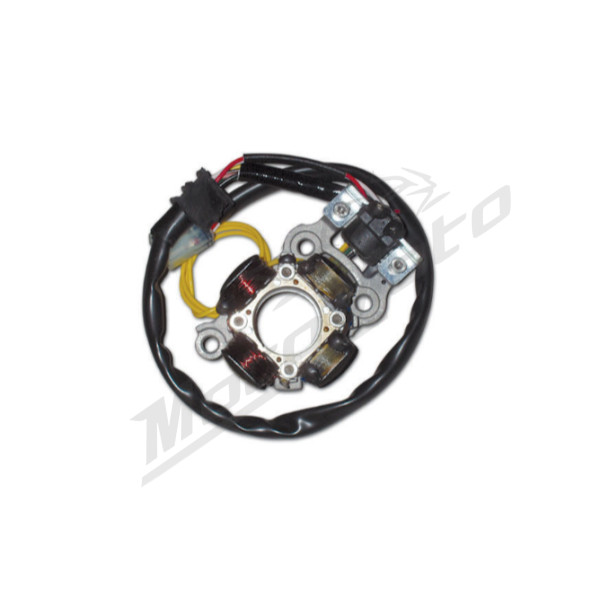 Electrex Generatorius (su apšvietimu) YAMAHA YZF 450 06-09