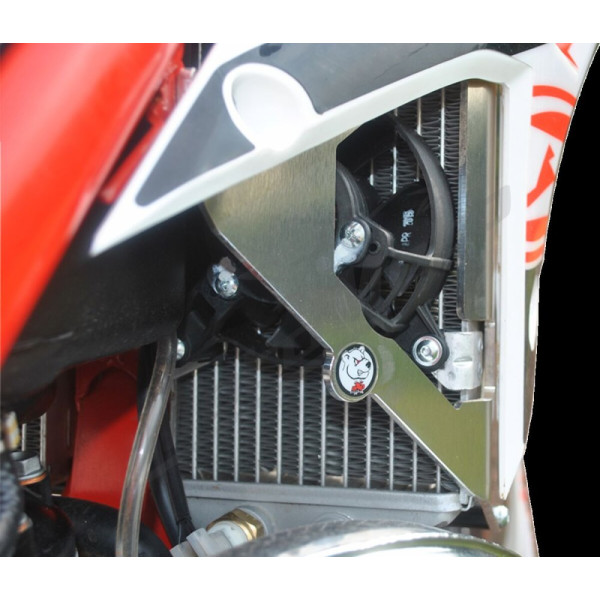 AXP RACING Radiator Braces Beta Xtrainer 300cc LC 15-22