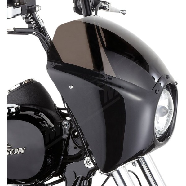 ARLEN NESS Direct Bolt-On Fairing
