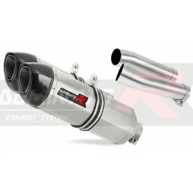 Exhausts silincers Dominator HP1 APRILIA TUONO 1000R 2006-2010