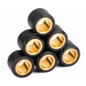 25x22 Variator weight set RMS 6pcs