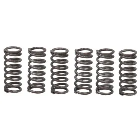 TRW Clutch springs set Yamaha YZF-R1 1000 06-14
