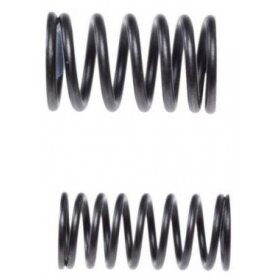 Valve springs SHINERAY ATV XY200ST-9 2pcs