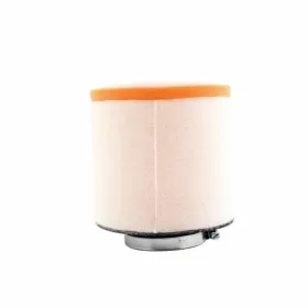 TWIN AIR Air Filter ​​​​​​​HONDA TRX 250 1987-2014