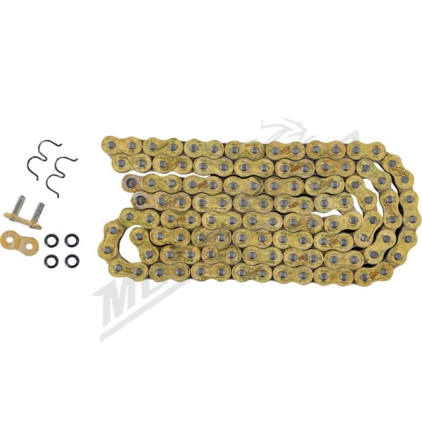 REGINA 520 HPE Series Chain 114 Links 