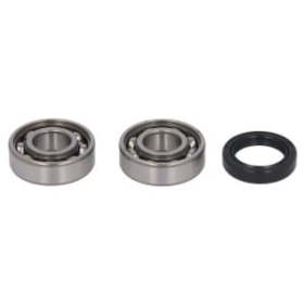 Hot Rods Crankshaft bearing kit Honda TRX 350cc 00-06