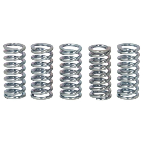 TRW Clutch springs set Honda CBF / ST / VT / XL / XR 125-1100 88-14