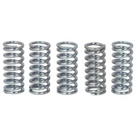 TRW Clutch springs set Honda CBF / ST / VT / XL / XR 125-1100 88-14