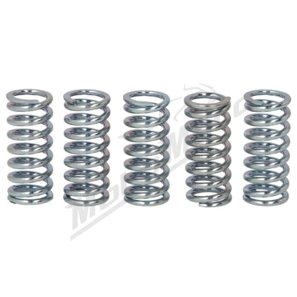 TRW Sankabos spyruoklių kompl. Honda CBF / ST / VT / XL / XR 125-1100 88-14