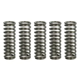 TRW Clutch springs set Aprilia Pegaso 650 05-10