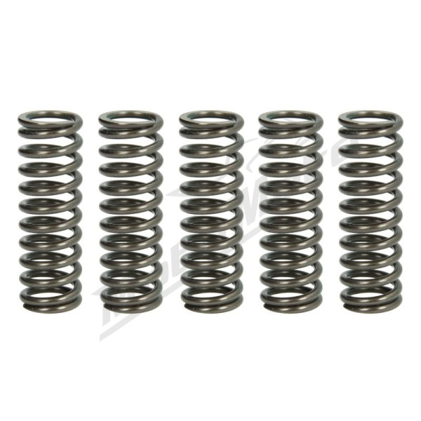 TRW Clutch springs set Aprilia Pegaso 650 05-10