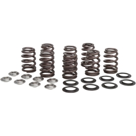 KIBBLEWHITE Beehive Valve™ Spring Kit Harley Davidson FLDE / FLHR / FLFB / FLHTKL / FLHXS / FLSL / FLTRX / FXBB / FXST 1750-1923 17-26