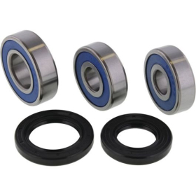 ALL BALLS Wheel Bearing Kit CFMOTO CL-C / NK / SS 450cc 2023-2025