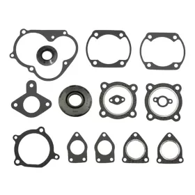 Sno-X Full set W/Oil seals Yamaha ET340 Enticer / RX-1 Mountain Limited 78-88