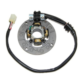 ELECTROSPORT Stator Yamaha YZF 250-450cc 98-09