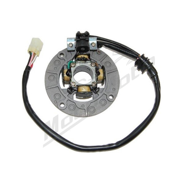ELECTROSPORT Generatorius Yamaha YZF 250-450cc 98-09