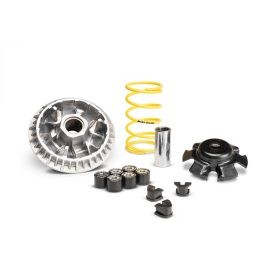 Variatoriaus kompl. MALOSSI Multivar SYM Joymax 300 Z 2021-2023