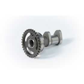 HOT CAMS įsiurbimo paskirstymo velenas Kawasaki / Suzuki 250 04-10