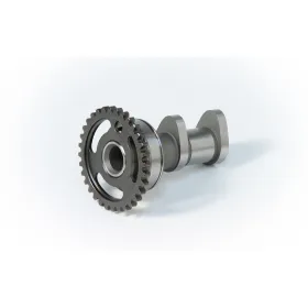HOT CAMS įsiurbimo paskirstymo velenas Kawasaki / Suzuki 250 04-10