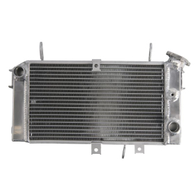 4Ride radiatorius Suzuki SFV 650 09-16
