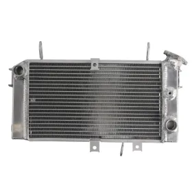 4Ride Engine radiator Suzuki SFV 650 09-16
