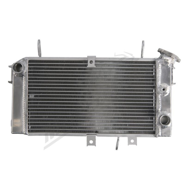 4Ride Engine radiator Suzuki SFV 650 09-16