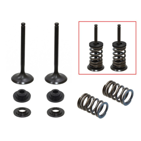 Psychic exhaust valves Suzuki RM-Z / RMX 450 08-15