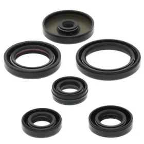 Winderosa (vertex) set of engine seals Yamaha YFM 80 Badger / Grizzly / Raptor 85-08