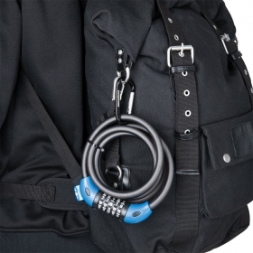 Oxford Carabiner 100pieces
