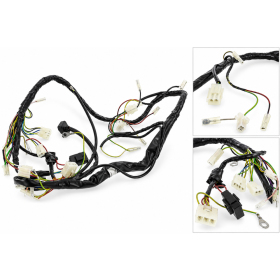 DERBI Electrical Instalations Assy Derbi GPR 50 02-03