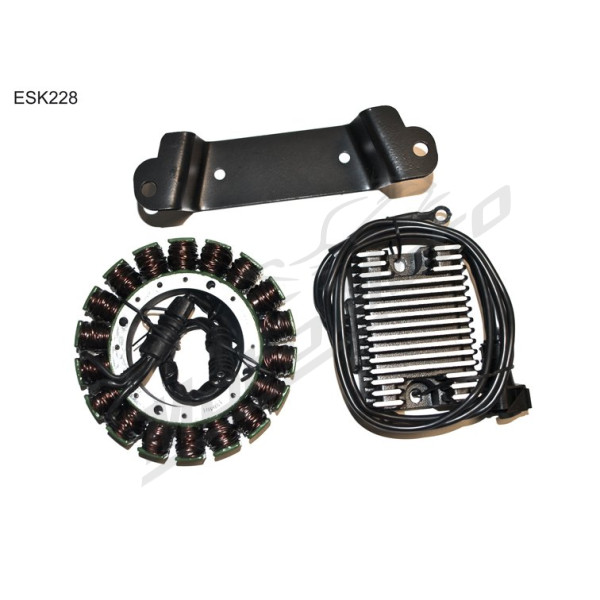 Electrosport ALTERNATOR WINDING (STATOR) KIT Harley Davidson FLHR / FLHRI / FLHRCI / FLHP / FLHPI / FLHT / FLHTC / FLHTCI / FLHTCU / FLHTCUI 1340 97-98