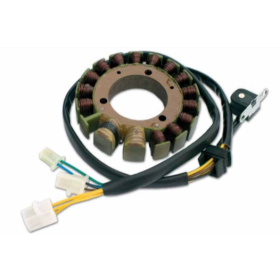 Electrex Generatorius (su pulsatoriumi) Suzuki DR 750-800cc 88-97