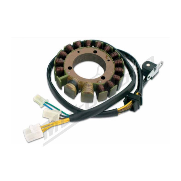 Electrex Generatorius (su pulsatoriumi) Suzuki DR 750-800cc 88-97