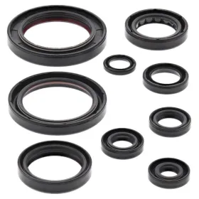 Winderosa (vertex) set (set) of engine seals Honda CRF 250 R 10–17