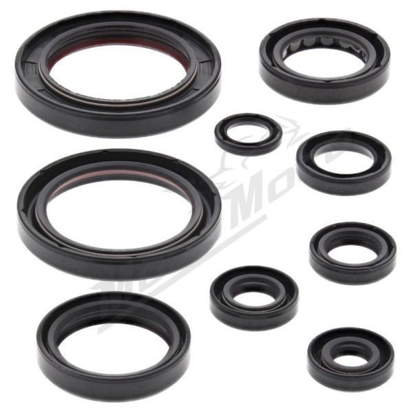 Winderosa (vertex) set (set) of engine seals Honda CRF 250 R 10–17