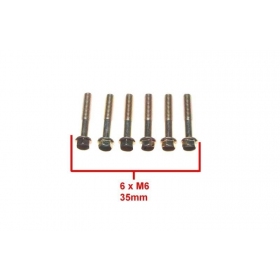 Bolts M6x1 (length 35mm) 6pcs