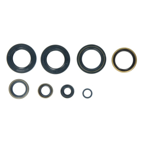 Athena Engine simmerings' sets KTM Adventure / Duke / LC4 / SMC / SXC 625-660 03-07