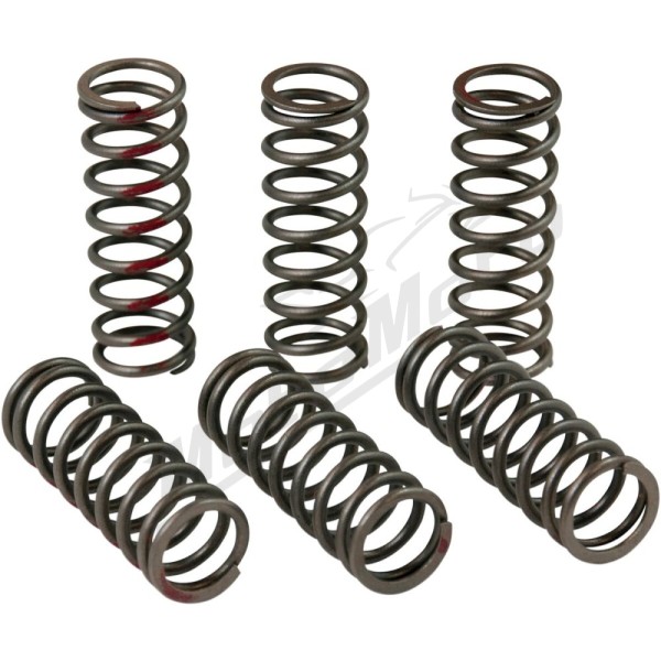 PRO CIRCUIT Clutch Spring Set Honda CRF 450 13-22