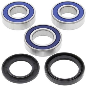 ALL BALLS Rear Wheel Bearing Kit Kawasaki ZZR 600-1400 00-18/ZXR 750 91-95/Z 1000 07-24/ZX-6R/ZX-7R/ZX-9R/ZX-10 98-20