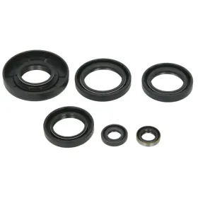 Winderosa Engine gaskets set (quantity per set 6 pcs) Kawasaki Brute Froce / KRF / KVF 750 12-14