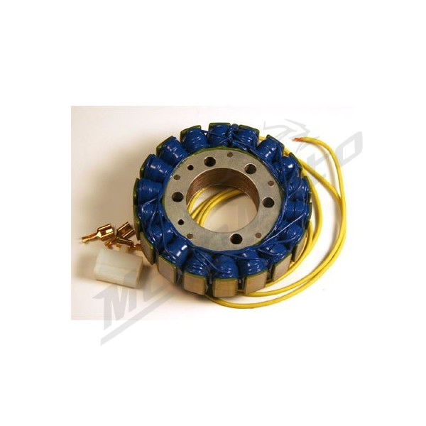 ELECTROSPORT Stator Kawasaki VN 800 01-06