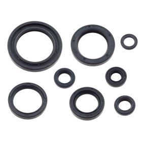 Psychic Engine Seals Set Honda CR / XR 80-500cc 85-99