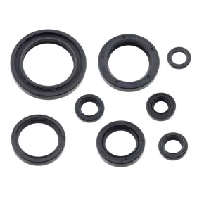 Psychic Engine Seals Set Honda CR / XR 80-500cc 85-99