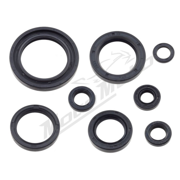 Psychic Engine Seals Set Honda CR / XR 80-500cc 85-99