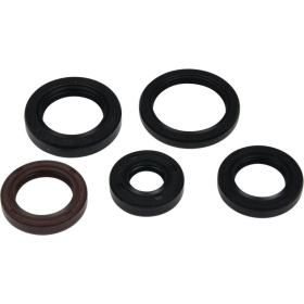 Winderosa (vertex) set (set) of engine seals Polaris Pheonix / RZR / Sawtooth 170-200 05-21