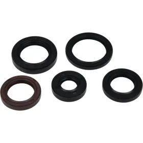 Winderosa (vertex) set (set) of engine seals Polaris Pheonix / RZR / Sawtooth 170-200 05-21