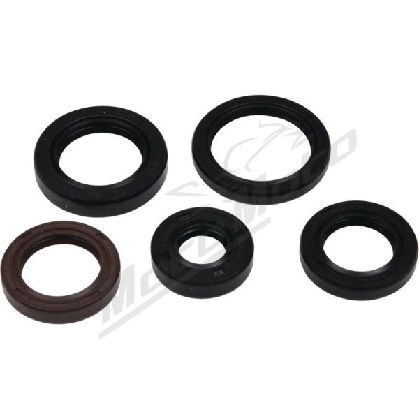 Winderosa (vertex) set (set) of engine seals Polaris Pheonix / RZR / Sawtooth 170-200 05-21