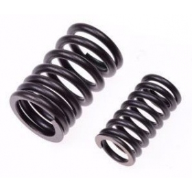 Valve spring SHINERAY ATV XY250 STXE 2vnt.