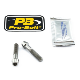 PRO BOLT Axle Pinch Bolt Kit Titan, Front Beta / Honda / KTM / Triumph / Yamaha 50-2500cc 97-24